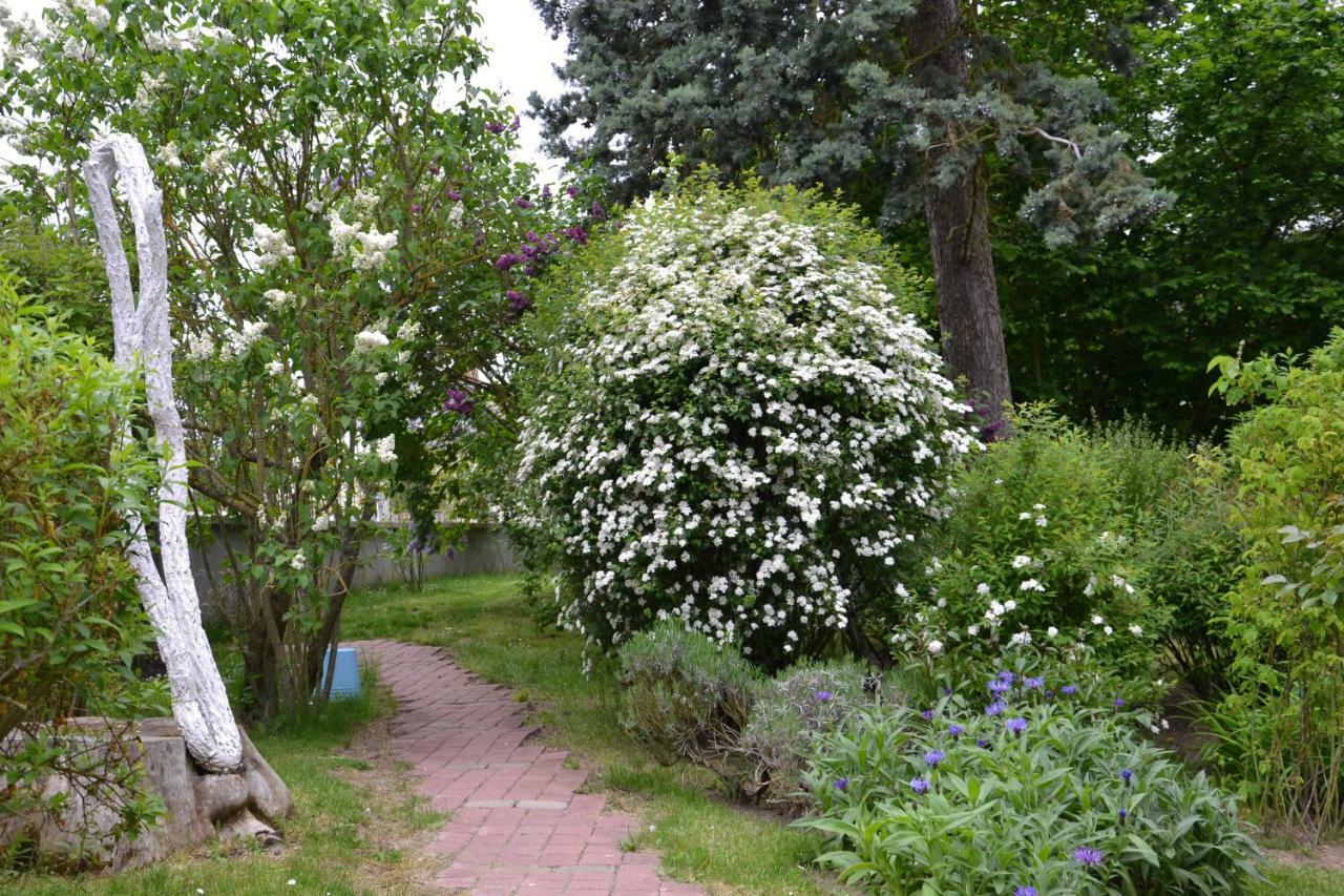 Bed and Breakfast Les Dameraudes Gien Exteriér fotografie